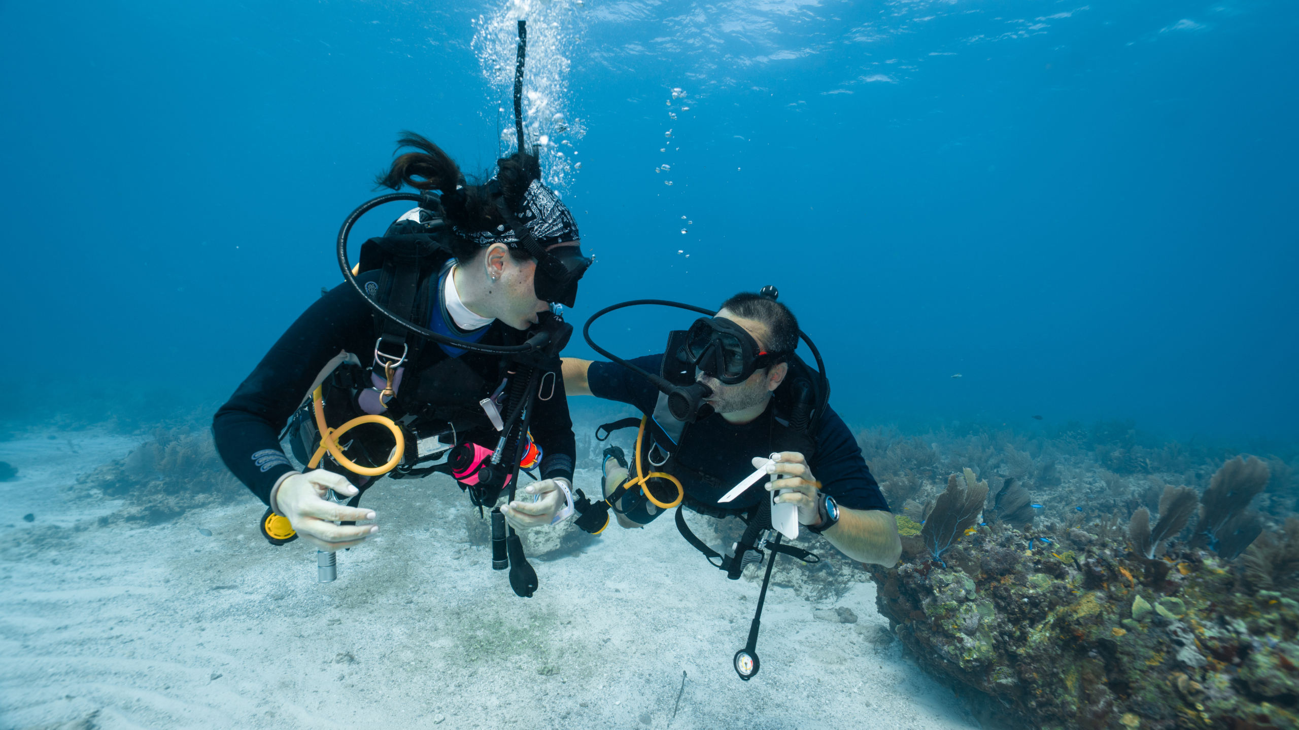 4. Rescue Diver Course