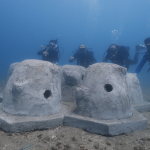 Still 2024-11-18 091809_1.187.1