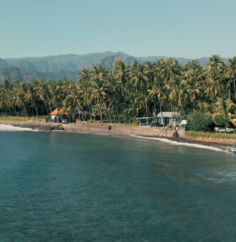 Still 2024-11-18 094943_2.13.1